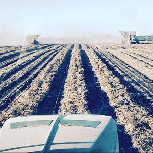 Meet your Posher, Kendall